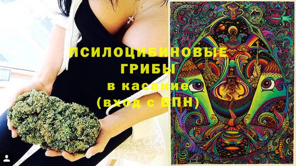 а пвп мука Богородск