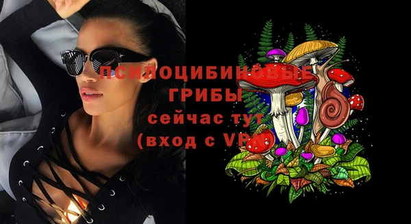 гашиш Богородицк