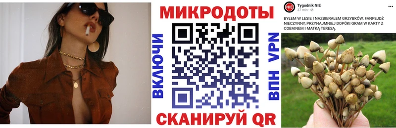 Галлюциногенные грибы Psilocybine cubensis  blacksprut как зайти  Павловск 